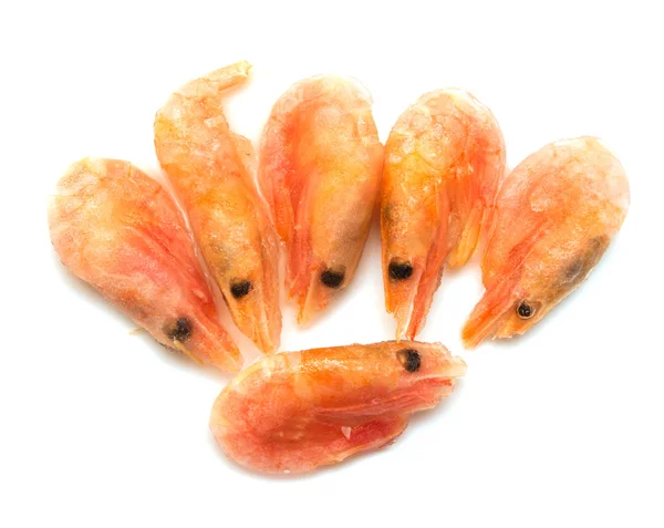 Crevettes rouges congelées sur fond blanc — Photo