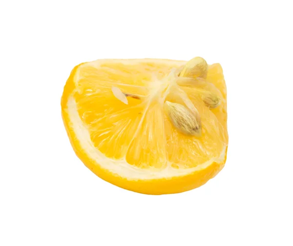 Limón sobre un fondo blanco — Foto de Stock
