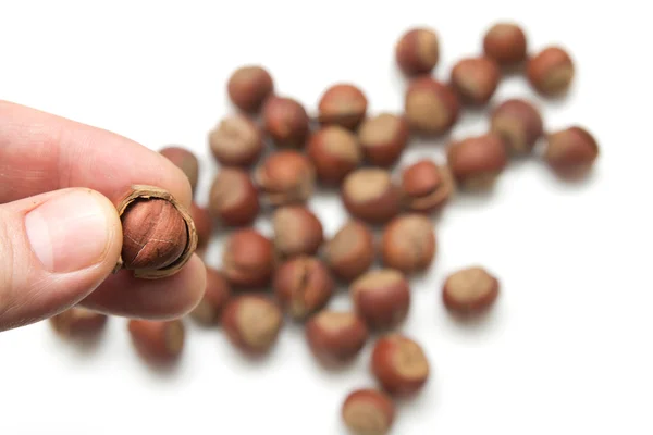 Lískové ořechy v ruce na bílém pozadí — Stock fotografie