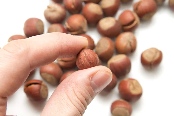 Lískové ořechy v ruce na bílém pozadí — Stock fotografie