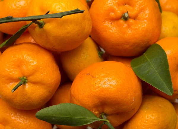 Oranges avec des feuilles comme fond — Photo