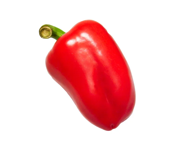 Paprika su sfondo bianco — Foto Stock