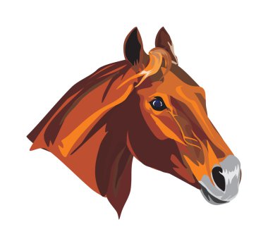 Horse head clipart