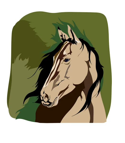 Голова лошади — стоковый вектор