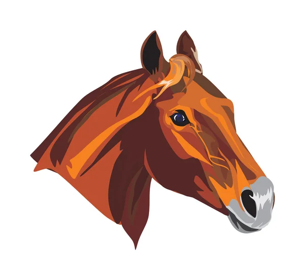 Horse head Vector Art Stock Images | Depositphotos