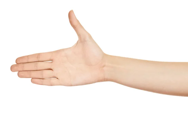 Mulher mão (palma) isolado no fundo branco — Fotografia de Stock