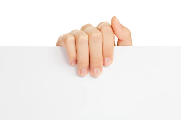 stock image Woman's hand holding paper on white background