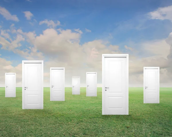 Doors in a Field — Stock Photo, Image