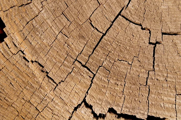 Pęknięty drewna — Zdjęcie stockowe