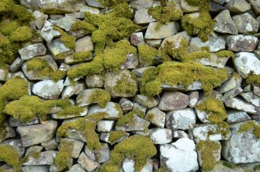 Mossy Wall clipart