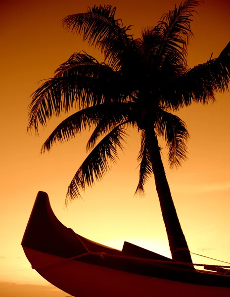 Tropical Sunset — Stock Photo, Image