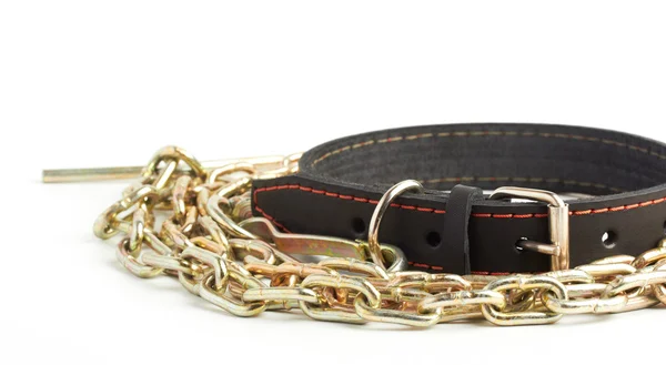 Chain and collar — Stock Photo, Image
