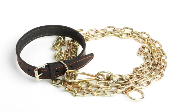 Chain and collar — Stock Photo, Image