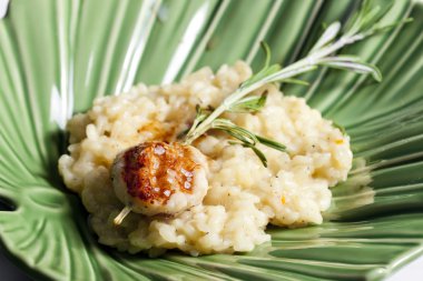 ızgara saint jacques yumuşakca biberiye iğne risotto ile üzerinde