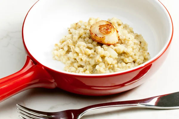 stock image Fried Saint Jacques mollusc with pearl barley risotto