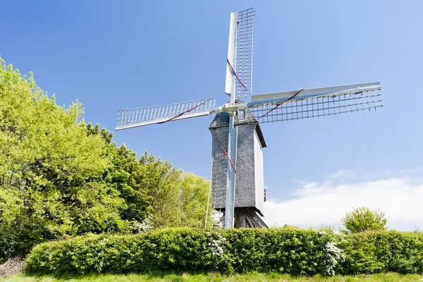 Terdeghem、ノール パ ドゥ カレー、フランスの風車 — ストック写真
