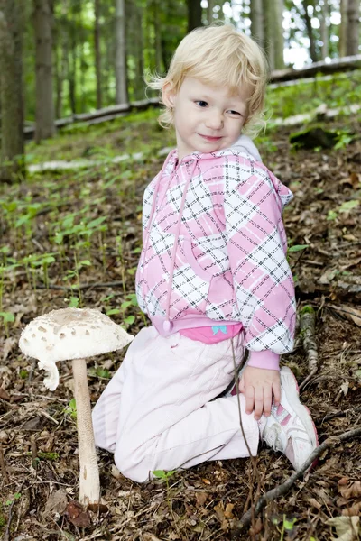 Stock image Mushroom picking little girl in forest