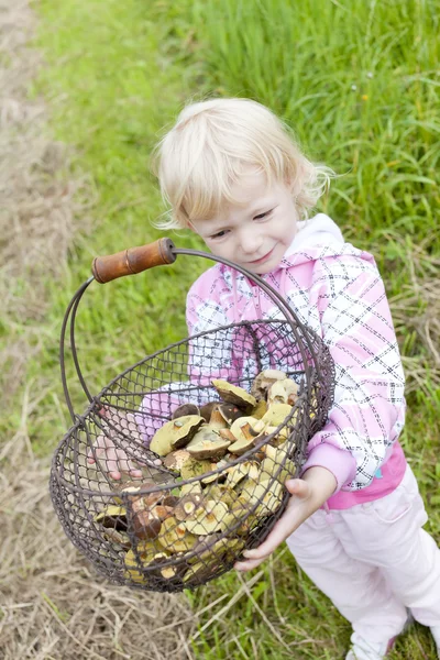 Kleines Mädchen mit Korb mit Pilzen — Stockfoto
