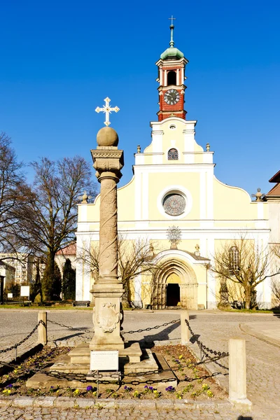 修道院的教堂的圣母玛利亚假设警察 nad metuji, — 图库照片