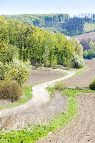 Paisaje de primavera con campos en el sur de Moravia, República Checa —  Fotos de Stock
