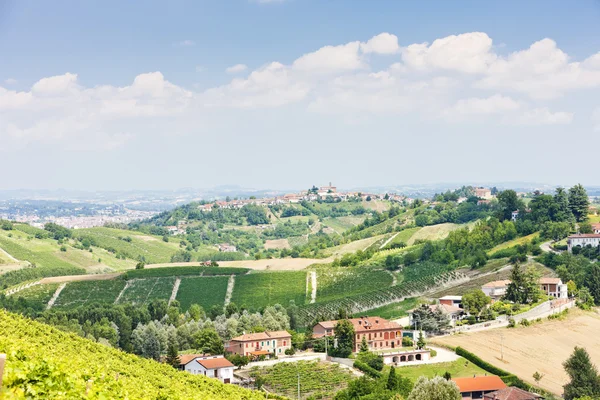 Vineyar nära tana, asti regionen, Piemonte, Italien — Stockfoto