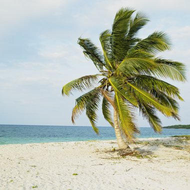 Cayo sabinal, Camagüey Eyaleti, Küba