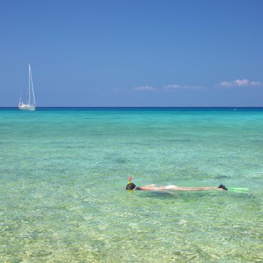 Snorkeling, Maria la Gorda, Pinar del Rio Province, Cuba clipart