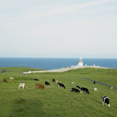 Lighthouse, St. John's Point, County Donegal, Ireland clipart