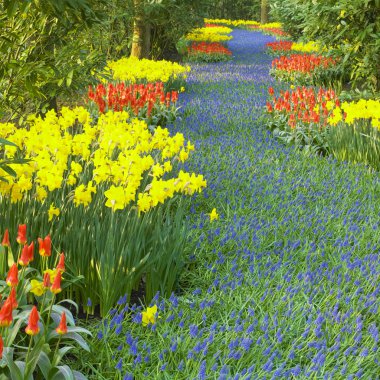 Keukenhof Bahçeleri, Lisse, Hollanda