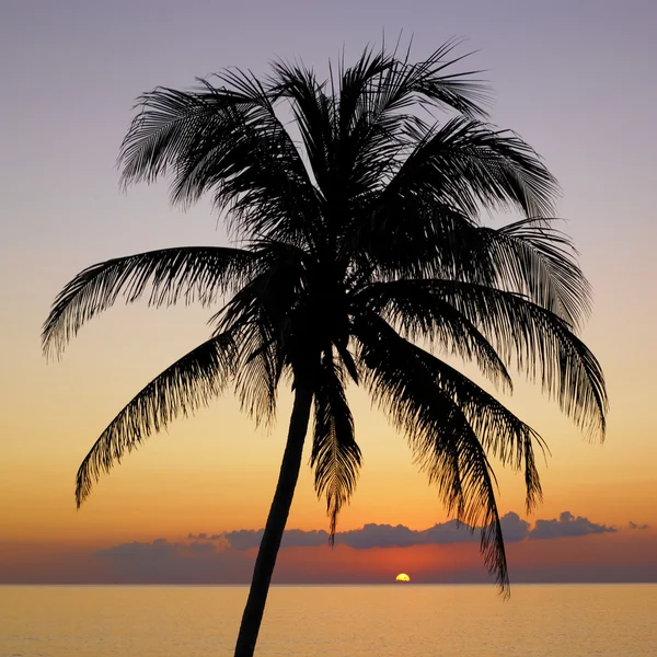 Zonsondergang over de Caribische zee, maria la gorda, pinar del rio provinc — Stockfoto
