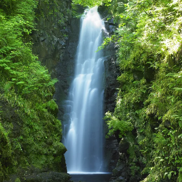 Cranny Falls, comté d'Antrim, Irlande du Nord — Photo