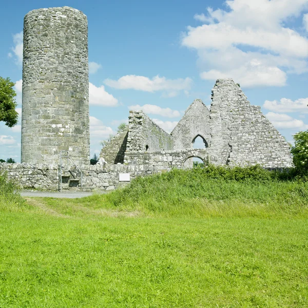 Ruínas do Mosteiro de Drumlane, Condado de Cavan, Irlanda — Fotografia de Stock