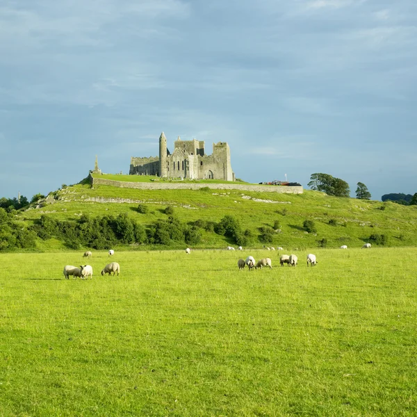 Rock of Cashel, Tipperary megye, Írország — Stock Fotó