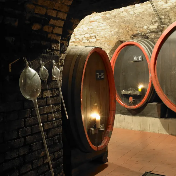 Şarap mahzeni, litomerice, Çek Cumhuriyeti — Stok fotoğraf
