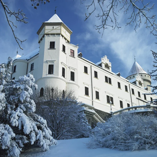 Konopiště kasteel in de winter, Tsjechië — Stockfoto