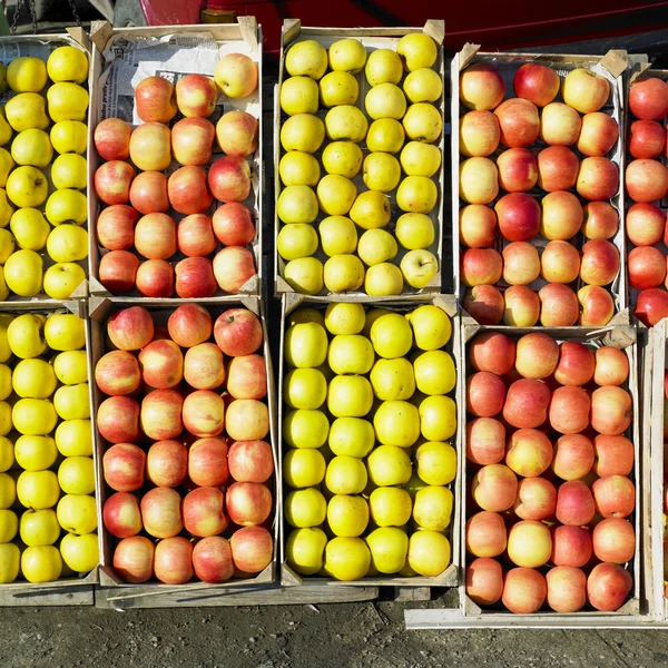 Apples, Serbia — Stock Photo, Image
