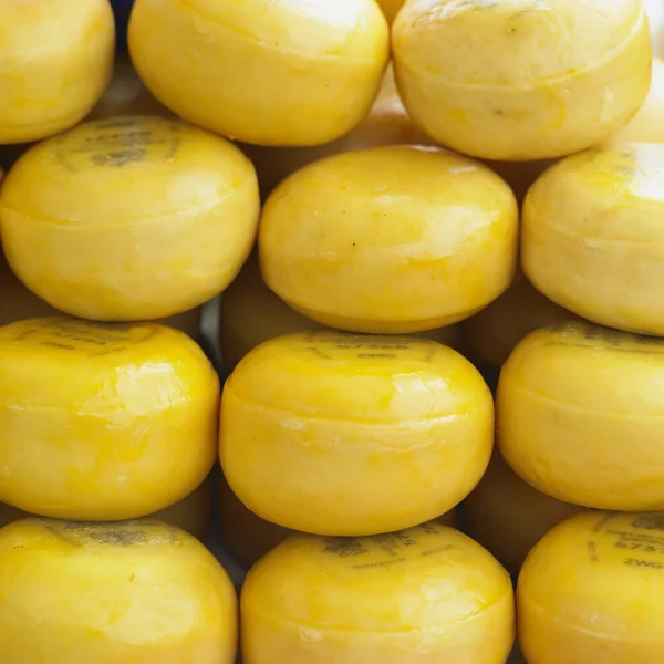Cheese market, Alkmaar, Netherlands — Stock Photo, Image