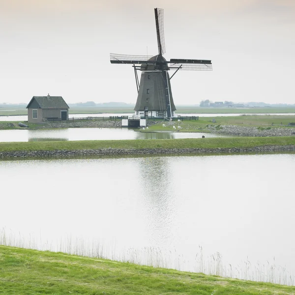 Větrný mlýn, ostrov texel, Nizozemsko — Stock fotografie