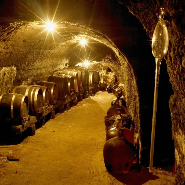 Wine cellar, Vrba Winery, Vrbovec, Czech Republic — Stock Photo, Image
