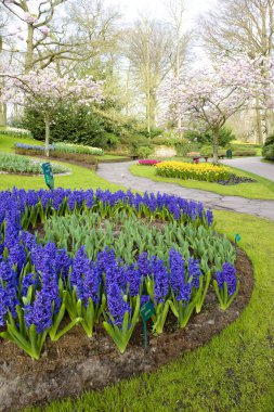 Keukenhof Bahçeleri, Lisse, Hollanda