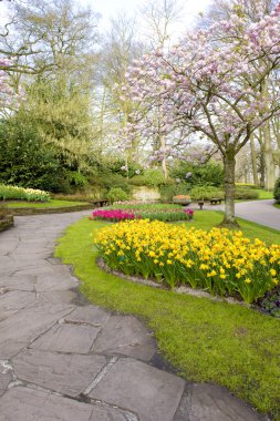 Keukenhof Bahçeleri, Lisse, Hollanda