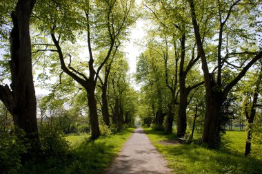 Alley, gelderland, Hollanda