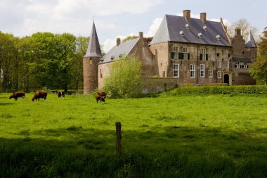 hernen, Hollanda