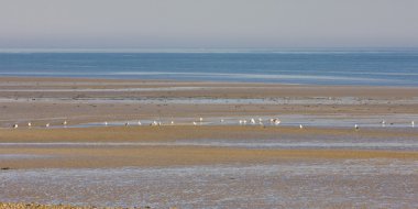 plaj, bernieres-s-mer, normandy, Fransa