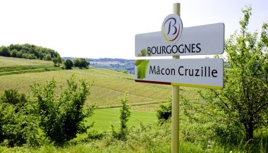 Vineyards of Cote Maconnais region, Burgundy, France clipart