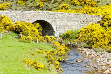 Bridge near Armadale Bay, Highlands, Scotland clipart