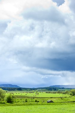 Peyzaj strathspey Vadisi, yaylaları, İskoçya