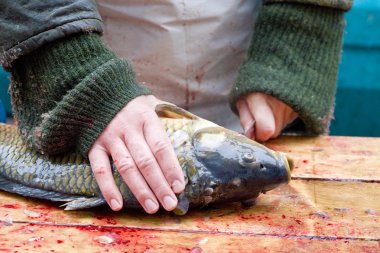 Noel carps (Çek Noel geleneği), Çek repub satışı