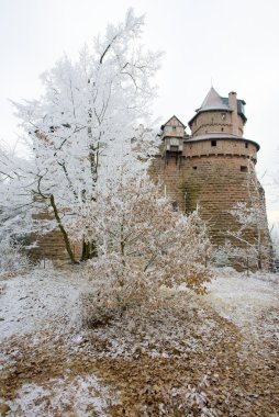 Haut-Königsbourg Kalesi, alsace, Fransa