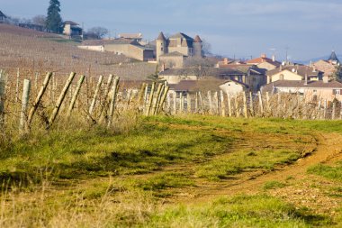 Pouilly, Burgonya, Fransa